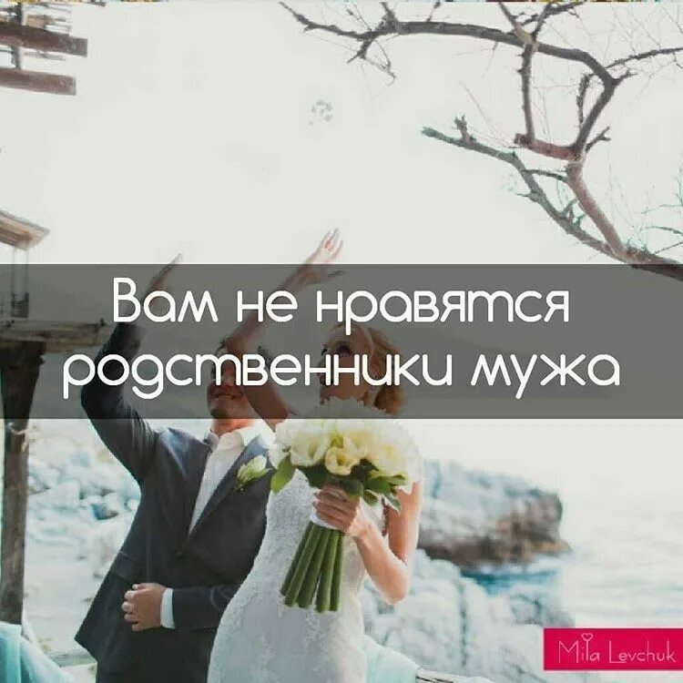 Не нравится родня. Статусы про родственников мужа. Родня мужа. Родственники мужа приколы. Дзен родственники мужа в моей квартире.