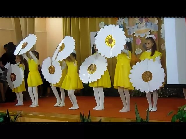 Ромашка для танца ромашковое поле