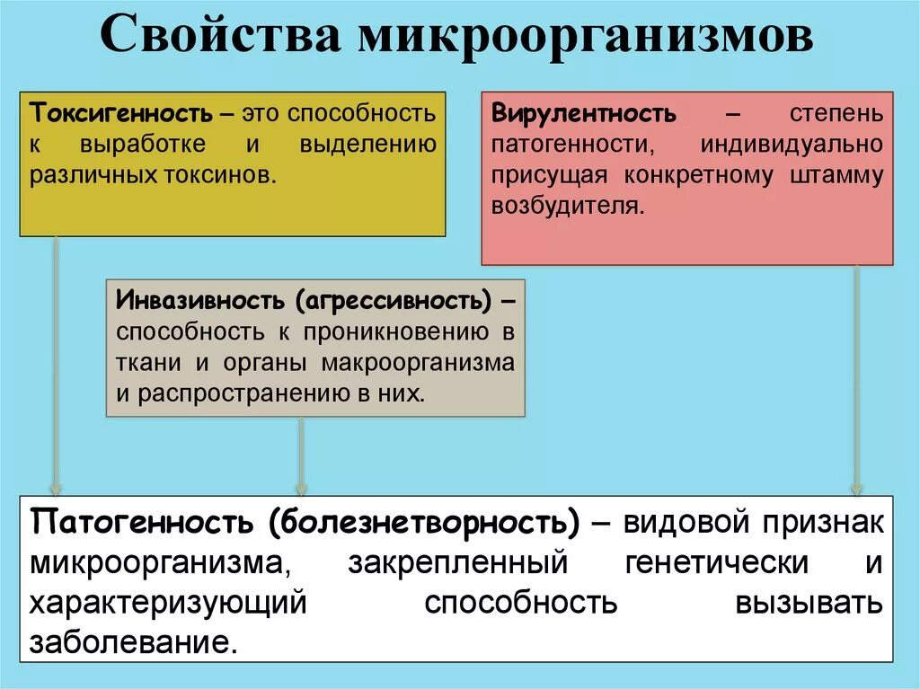 Биологические свойства бактерий. Характеристика патогенных микроорганизмов. Свойства бактерий. Характеристика патогенных микробов. Патогенные свойства бактерий.