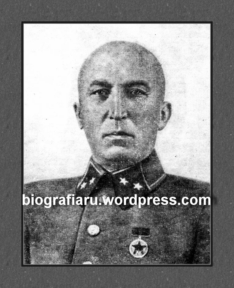 Кафедра позвоночных мгу. П п корзун. П п корзун. П п корзун. П п корзун.