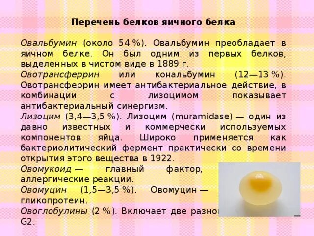 Овальбумин яйца. Белок овальбумин. Овальбумин функция в яйце. Яйцо содержит белок овальбумин.