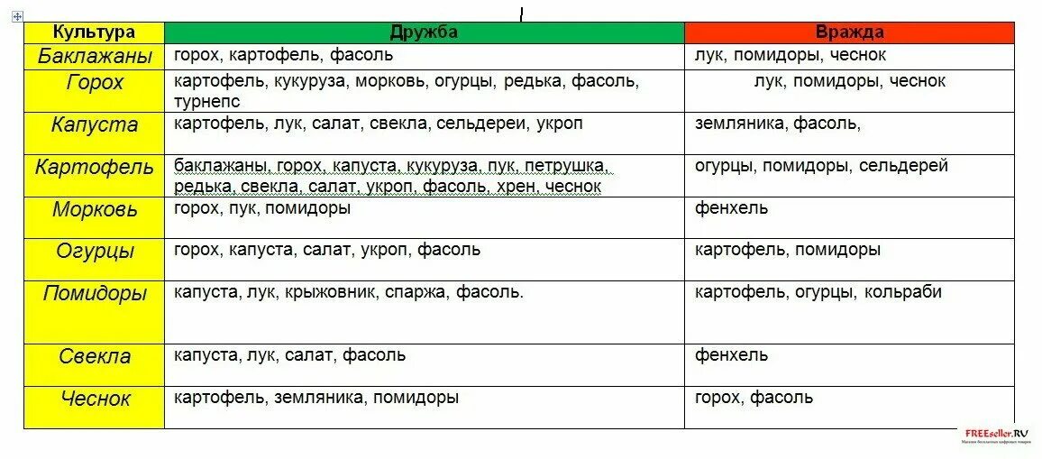 Можно ли садить чеснок после чеснока. Что после чего можно садить. Что можно посадить после чего. Культуры что садить после чего. После чего сажать помидоры.