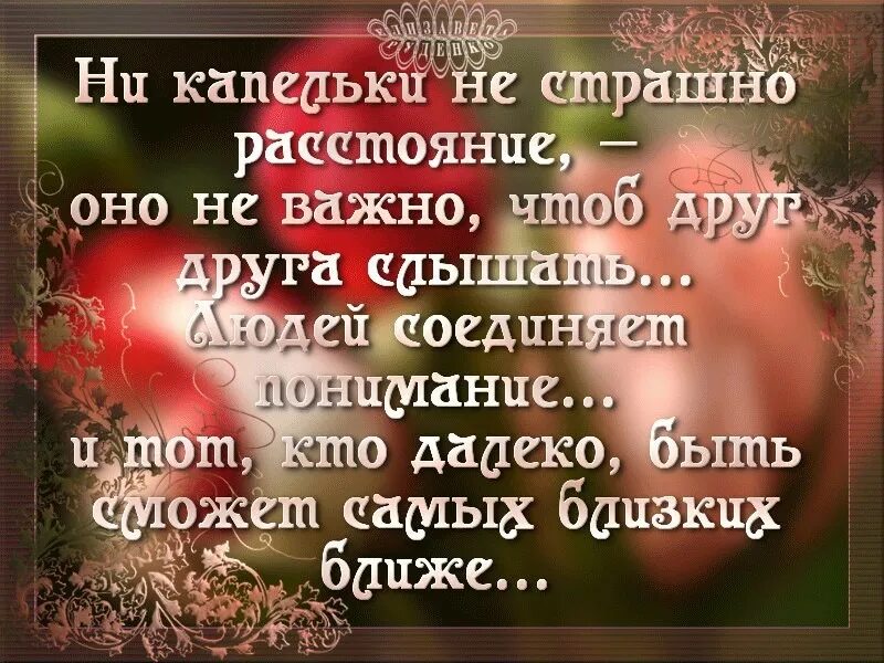 Ни капли жизни. Страшные статусы. Настоящим друзьям не важны расстояния. Пугающие статусы. Мудрые статусы.