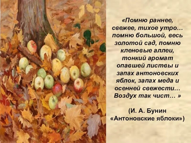 Помню тихое утро. Помню раннее свежее тихое утро. Помню большой весь золотой подсохший и поредевший сад. Помню раннее свежее тихое утро большой весь золотой сад. Антоновские яблоки картина.