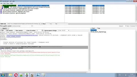 Git version