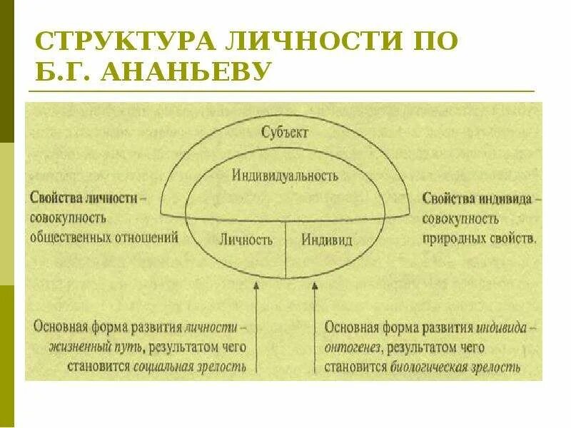 Соотношение понятий индивид субъект личность индивидуальность. Структура индивида схема. Схема Ананьева индивид личность. Структура личности Ананьев схема. Теория Ананьева о структуре личности.