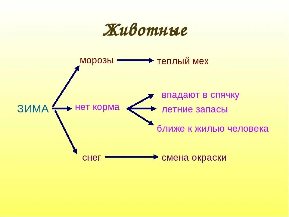 Примеры невидимых нитей в природе