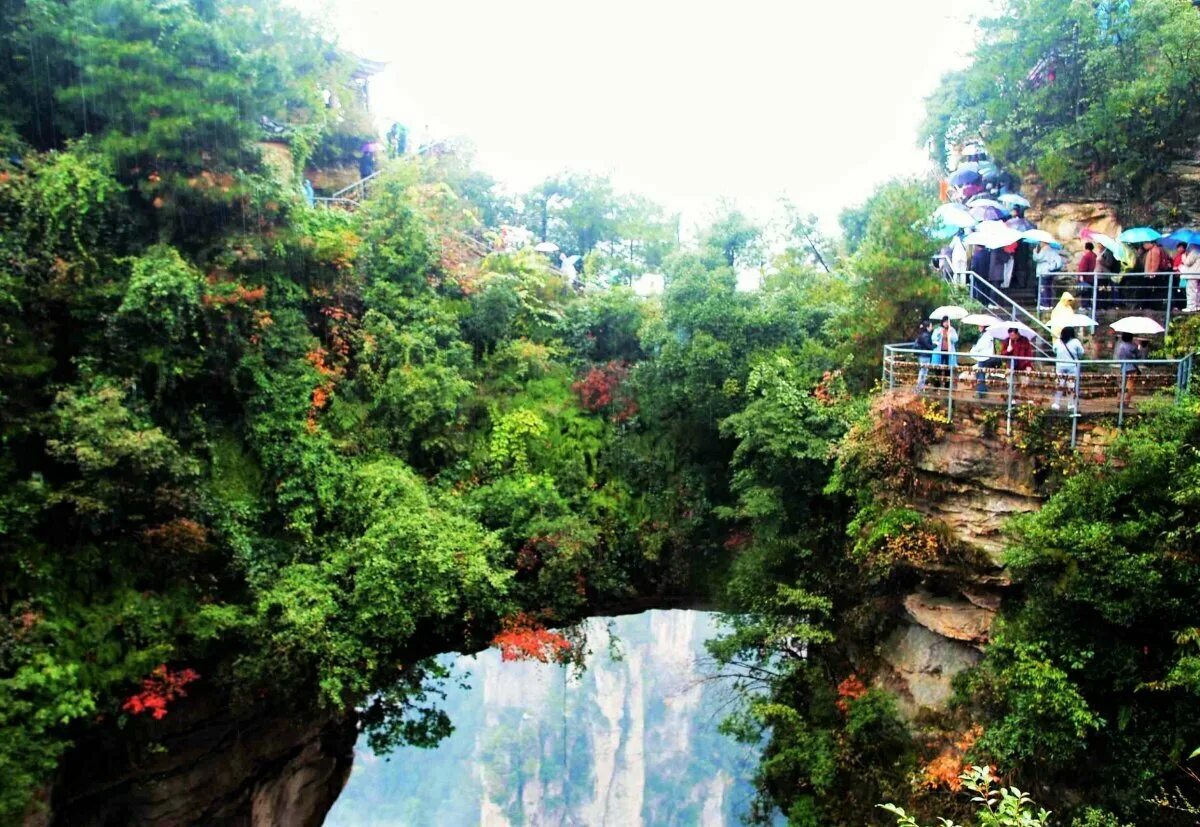 Park china