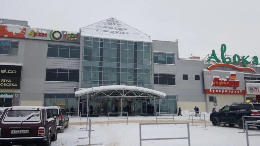 Авокадо кострома давыдовский. Тц авокадо кострома магазины. Авокадо кострома никитская. Авокадо кострома давыдовский. Авокадо давыдовский.