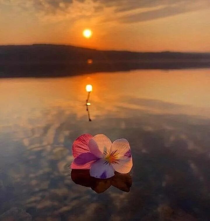 Нежная любовь. Любимые глаза. Книга бесконечность. Нежность к любимому. Бесконечной нежностью.