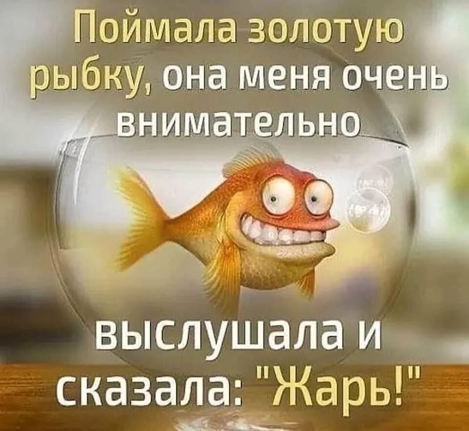 Рыбка выходного дня. Шутки про золотую рыбку. золотая рыбка юмор. золотая рыбка прикол. смешные анекдоты про золотую рыбку.