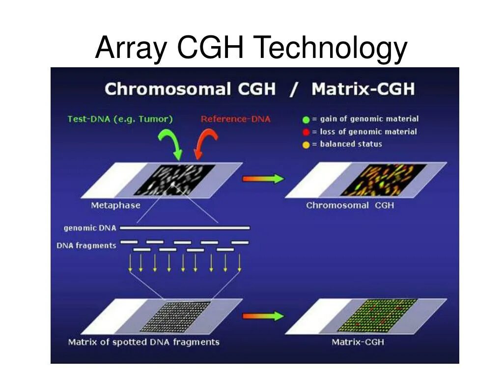 CGH сравнительная геномная гибридизация. CGH - метод сравнительной геномной гибридизации. Микрочиповая сравнительная геномная гибридизация. Сравнительная геномная гибридизация (Comparative genomic hybridization – CGH).