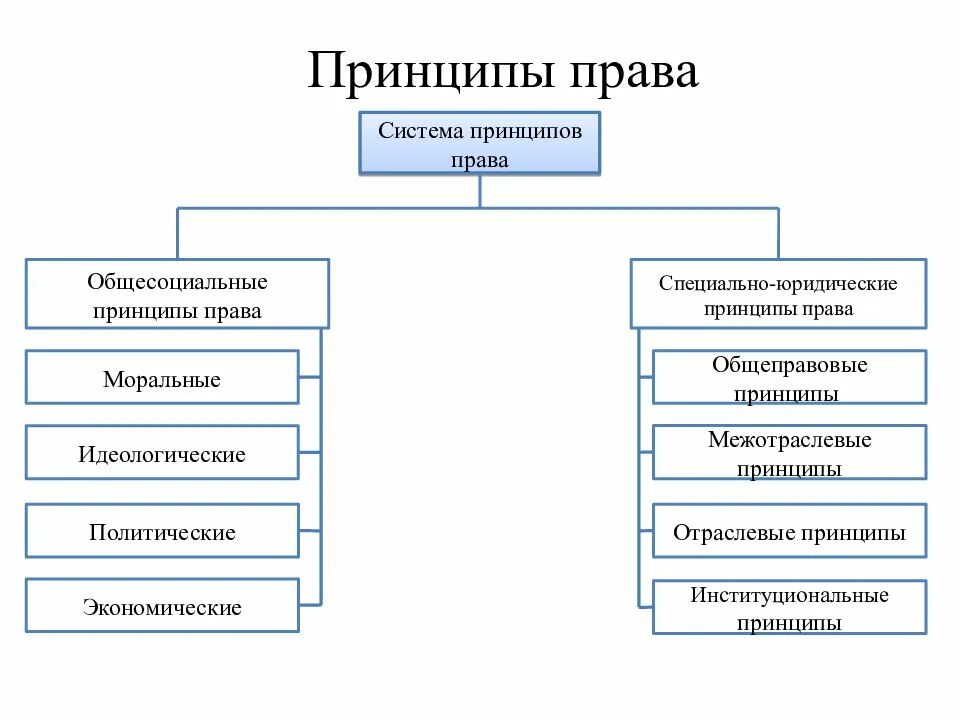 Какие общеправовые принципы