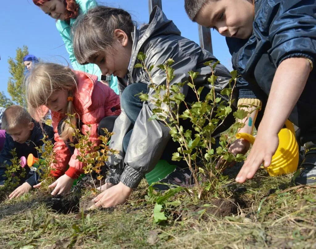 Дети на пришкольном участке. Озеленение пришкольного участка. Посадка деревьев. Дети сажают деревья.