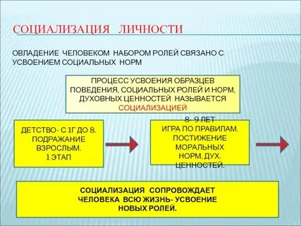 Социализация личности социальный статус