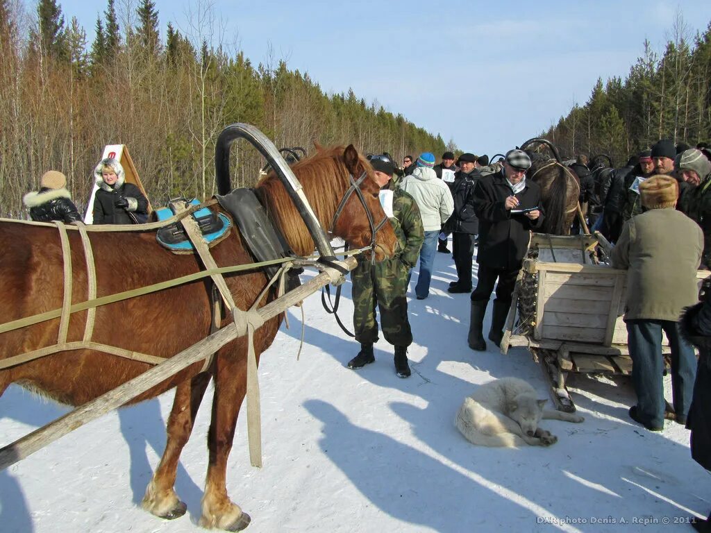 Усть-Ижма Коми. Луд Ижма. Село Ижма Республика Коми. Погода в ижме рп5