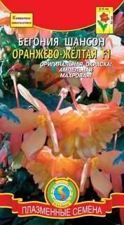 Бегония шансон