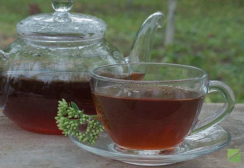 Чай в жару. Напитки на пикник в жару. Жара и чай. Горячий чай в жару. Почему горячий чай охлаждает в жару.