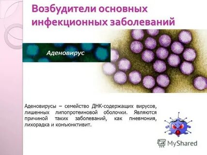 Возбудитель общий