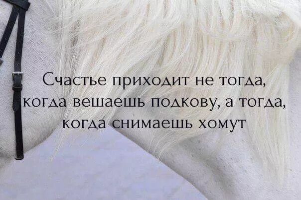 Получилось тогда. Счастье приходит не тогда когда вешаешь подкову а когда снимаешь. счастье придет. счастье приходит не когда вешаешь подкову. счастье это не когда вешаешь подкову а когда снимаешь хомут.