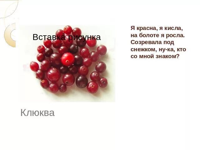 Загадка про клюкву. Загадка про клюкву для детей. Стихотворение про клюкву для детей. Интересные факты о клюкве.