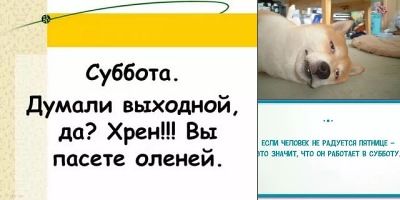 рабочая суббота картинки прикольные