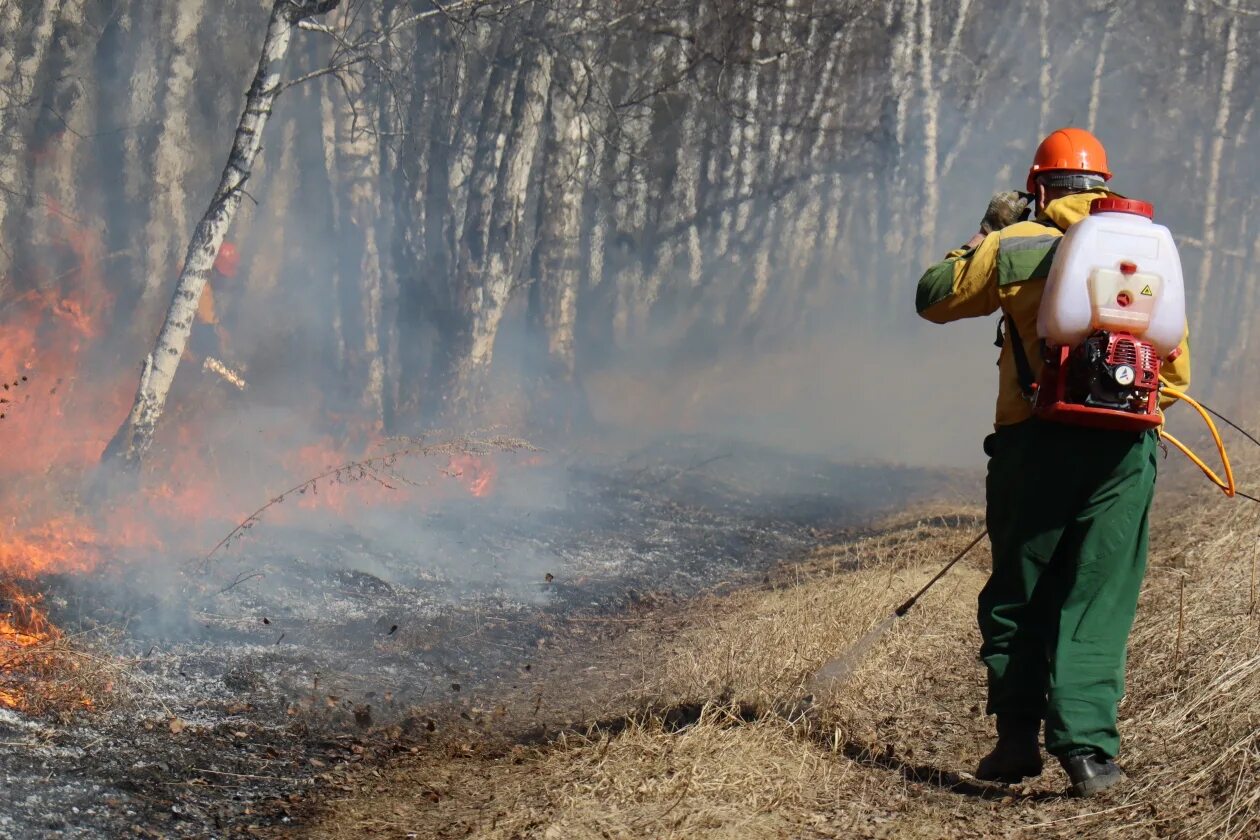 Лесопожарный центр Красноярского края на пожаре. Лесные пожарные. Пожар в лесу. Тушение пожара.