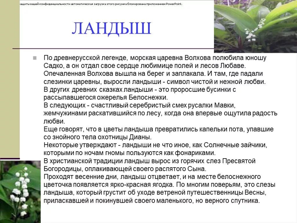Легенды о растениях и животных. Мифы и легенды о цветах. ландыш мифы и легенды. легенды и сказки о цветах.