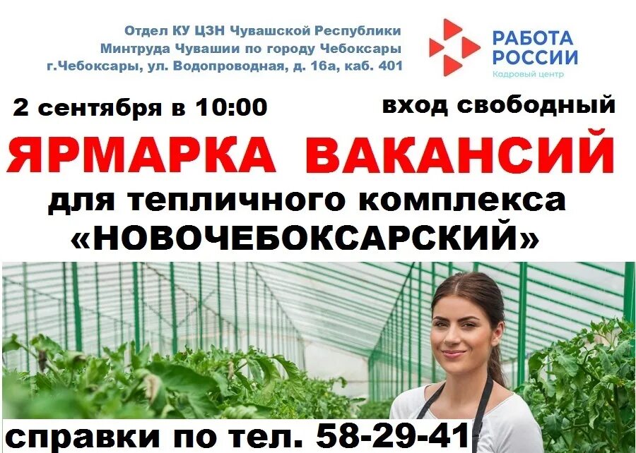 цзн чебоксары вакансии. городской центр занятости чебоксары. агентство по трудоустройству. центр занятости населения чебоксары вакансии. частная занятость что это такое.