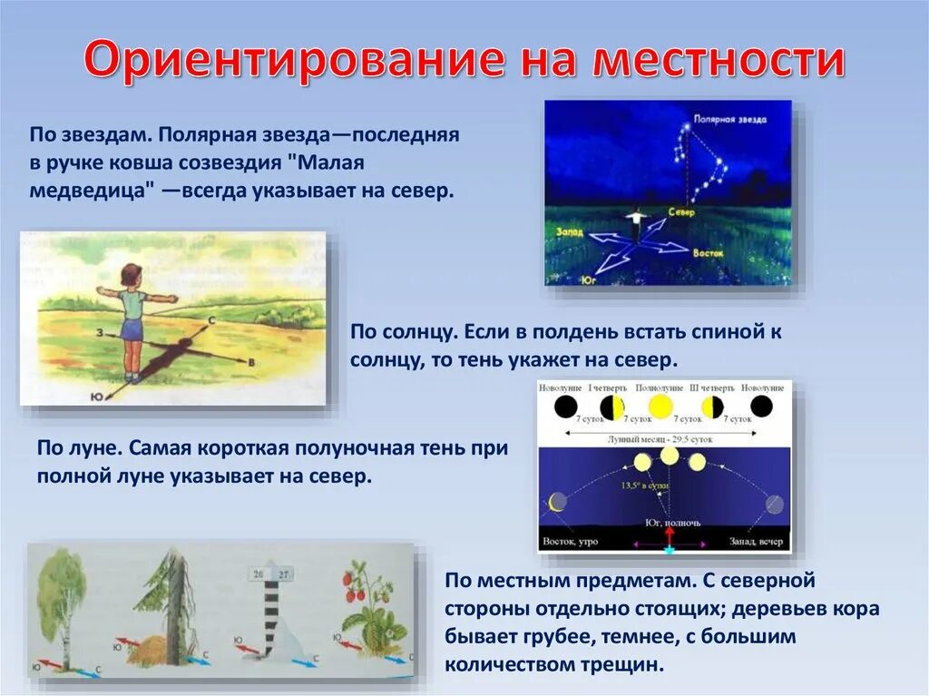 Ориентирование на я местности. Ориентирование наместносьи. Ориентирован на местности. Способы ориентирования на местности.