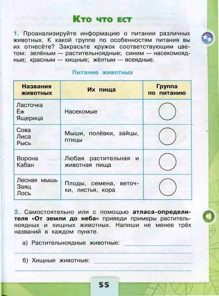 Окр мир 3 кл рабочая. 3 Класс Плешаков рабочая тетрадь 3 класс. Окружающий мир рабочая тетр 3 класс. Окружающий мир 3 класс рабочая тет. Окружающий мир 3 класс рабочая тетрадь.