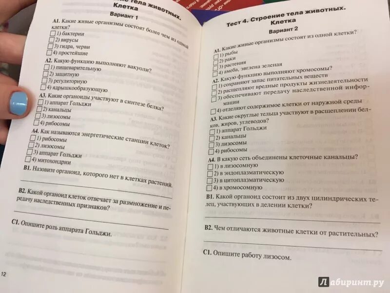 7 класс биология контрольный материал. Биология. 6 Класс. Контрольно-измерительные материалы. ФГОС ответы. Контрольно-измерительные материалы по биологии 6 класс Пономарева. Контрольно-измерительные материалы по биологии 9 класс. Биология контрольно измерительные материалы 6.