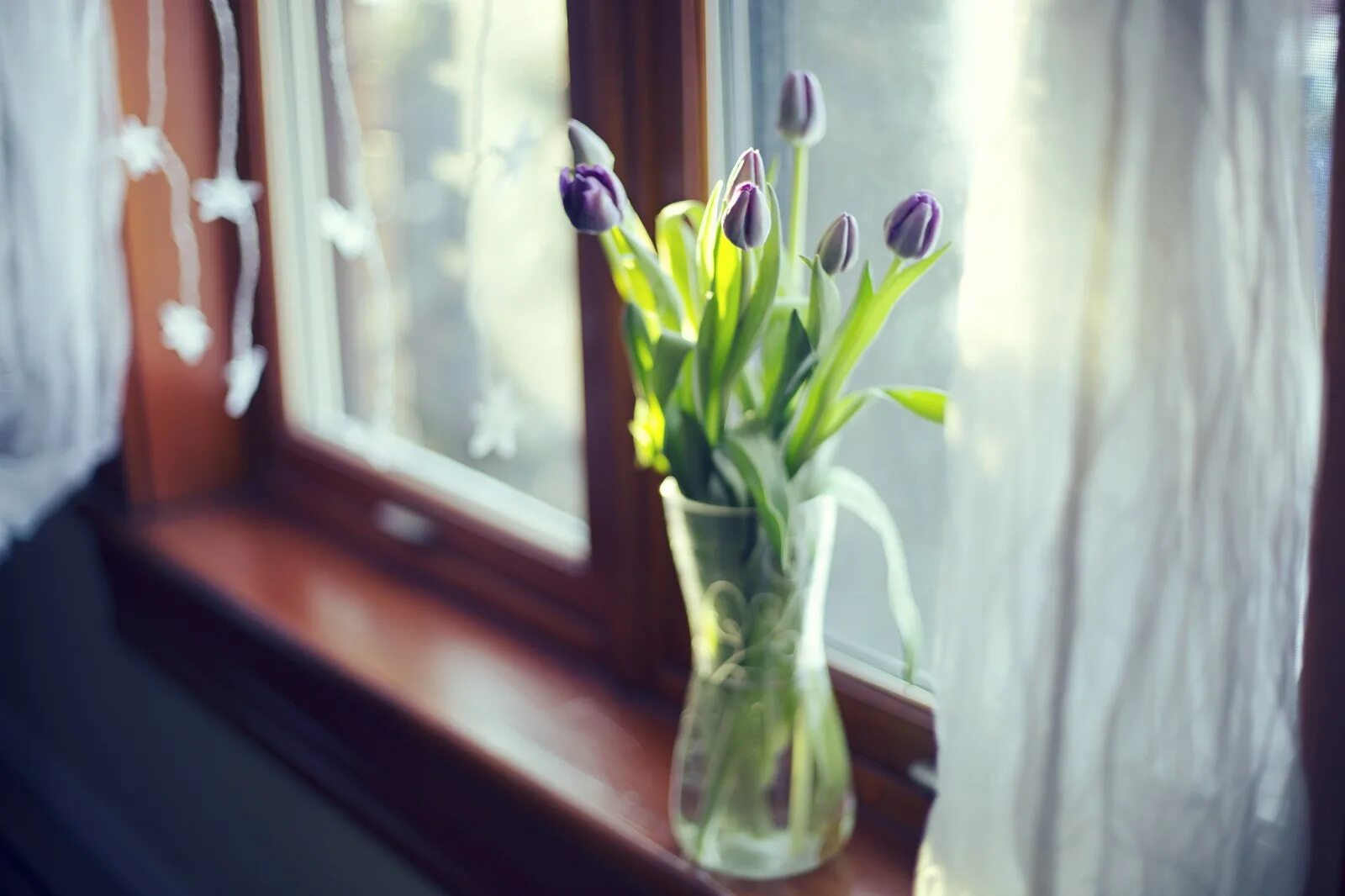 Цветы на окне. Весенние цветы на окне. Весенний букет на окне. Тюльпаны на окне.