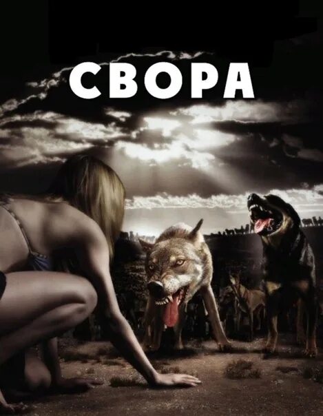 Свора содержание. Свора содержание