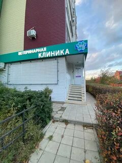Фото: Балу, ветеринарная клиника, ул. Гагарина, 9, Волгодонск - Яндекс Карты