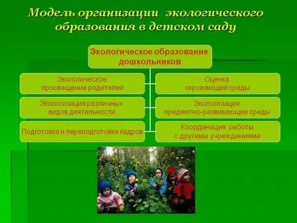 Процесс экологического образования дошкольников