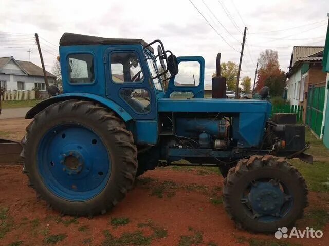 Трактор т-40 ам. Трактор т 40 Краснодарский край. Трактор т 40 Красноярский край город Канск. Т 40 фиолетовый трактор. Авито пензенская купить трактор бу