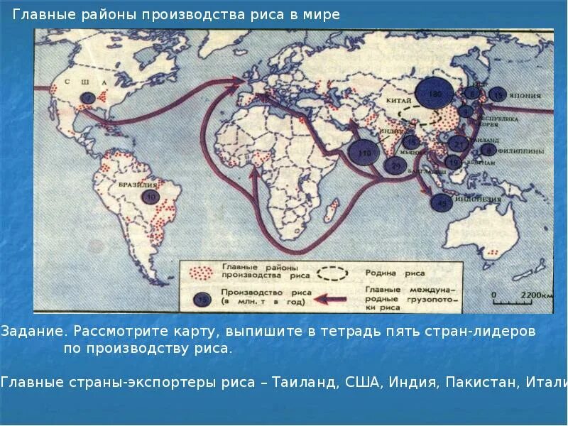 Сельскохозяйственное производство страны лидеры. Импорт зерна в мире по странам. Крупнейшие производители риса. Страны по производству риса. Страны производители риса.