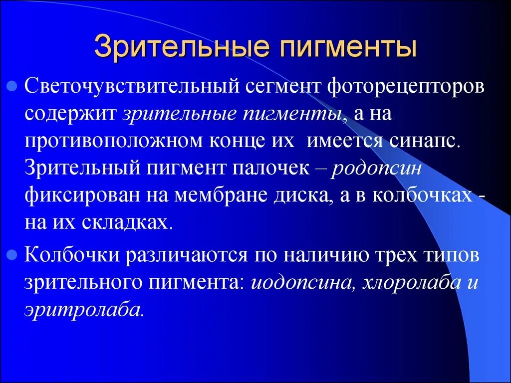 Светочувствительные пигменты содержатся