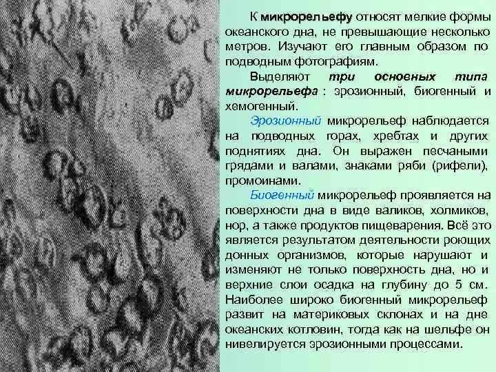 Мельчайшая форма жизнь. Типы микрорельефа. Формы микрорельефа. Микрорельеф виды. Рельеф и микрорельеф.