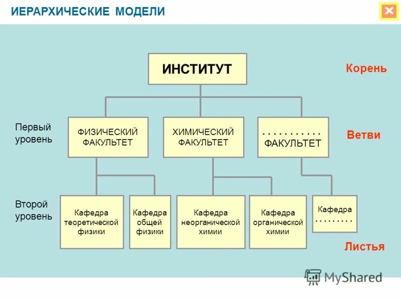 Модель иерархической структуры. Иерархическая структура данных. Иерархическая структура вуза. Иерархические базы данных. Иерархическая модель данных учебного заведения.