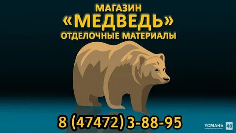 Сайт магазина медведь вологда