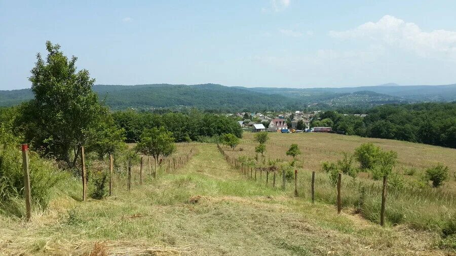 Краснодарский край апшеронское поселение. Получить участок в краснодарском крае. Земельный участок краснодарский край. Город хадыженск краснодарский край. Фото поселок победитель краснодар.