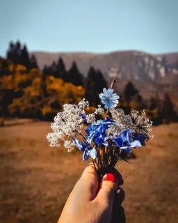 Видеть букет