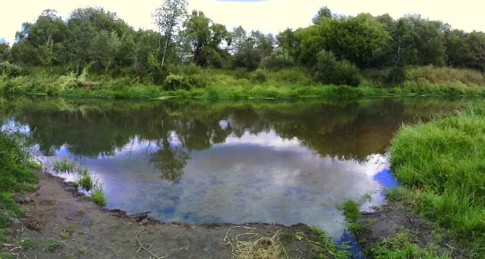 Река Мутенка Каширский район. Река Мутенка пруд. Русский брод речка. Речка в середине.