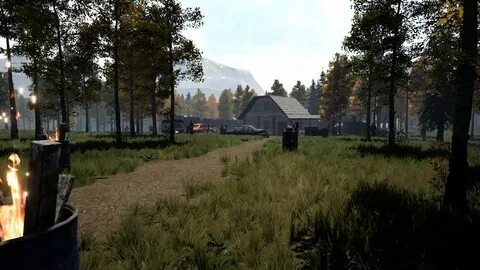 Бандитка раст