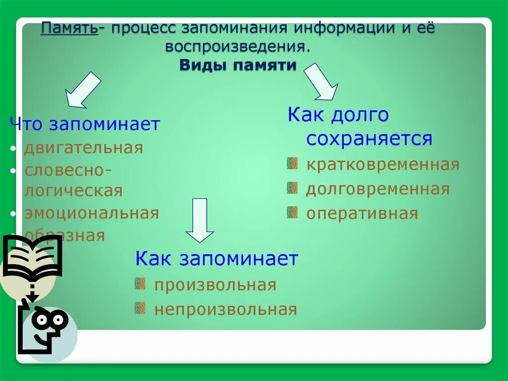 Память знание опыт. Виды памяти у школьников. Виды запоминания памяти. Память младшего школьника. Виды памяти у детей младшего школьного возраста.