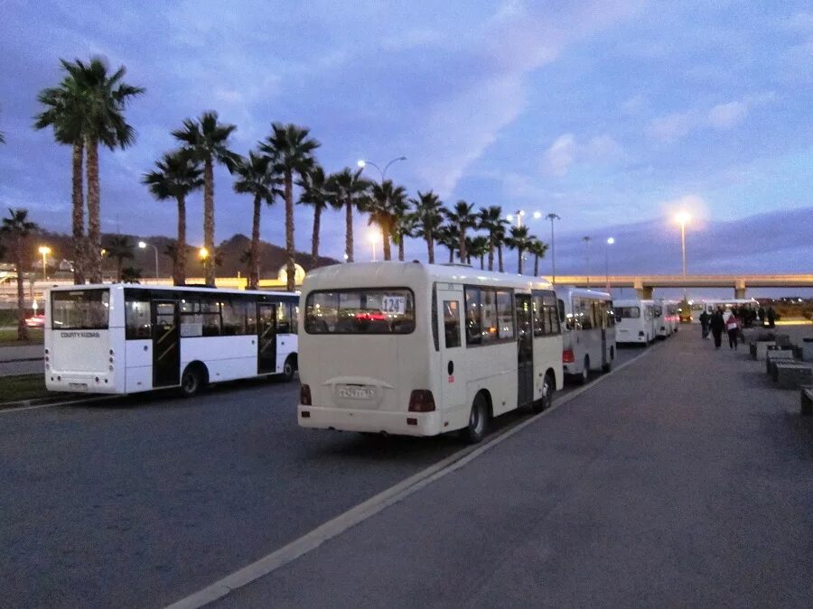 Остановка олимпийский парк. Автобусы Сочи. Автобусы в Олимпийском парке. Автобус Сочи парк. Транспорт в Олимпийском парке.