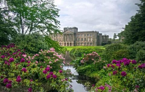 Plant england
