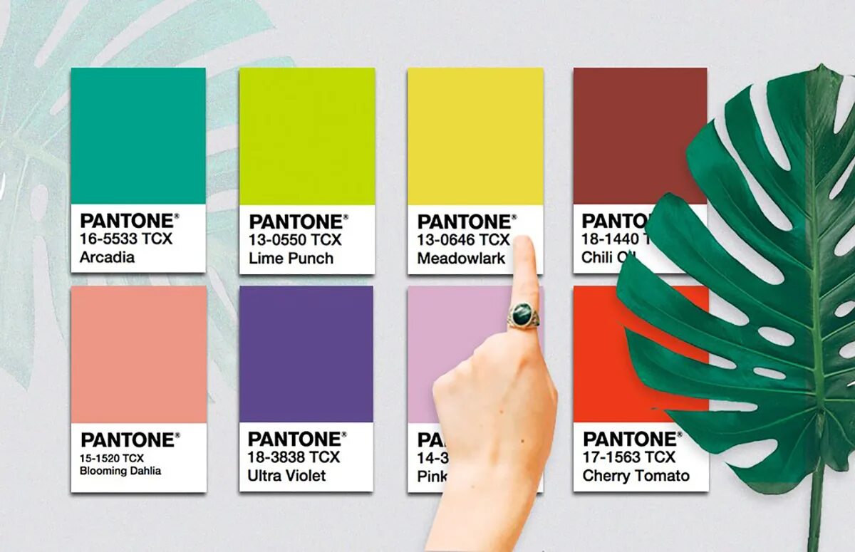 Цвета пантон. Цветовая палитра Pantone. Пантон палитра. Палитра цветов пантон. Pantone mushroom